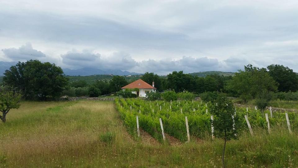 Holiday House Tunjarice Obrovac Luaran gambar
