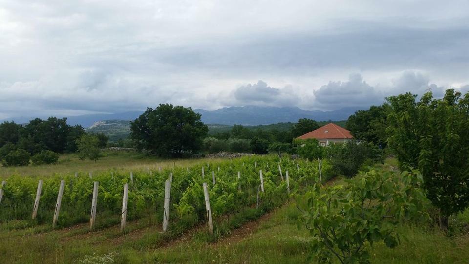 Holiday House Tunjarice Obrovac Luaran gambar